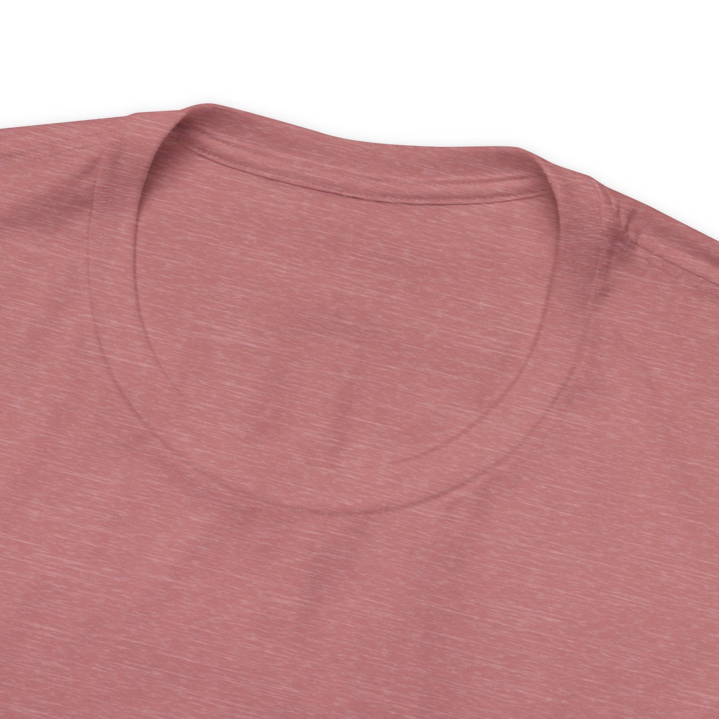 Take the Leap Unisex Jersey Short Sleeve Tee